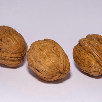 MCDgobal Macadamia Nuts2